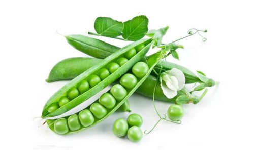 DẠY HỌC PHẦN QUY LUẬT PHÂN LI ĐỘC LẬP