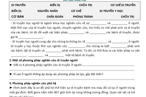 DI TRUYỀN HỌC NGƯỜI